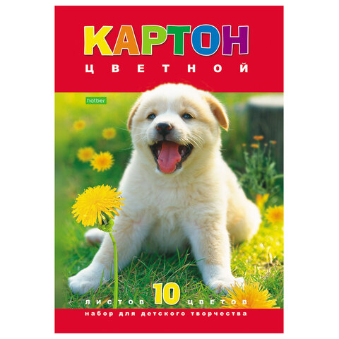 Картон цветной А4 МЕЛОВАННЫЙ, 10 листов 10 цветов, в папке, HATBER ECO, 195х290 мм, "Белый щенок", 043288, 10Кц4_03414