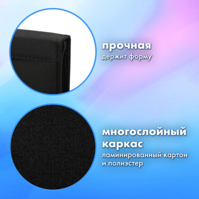 Папка на молнии BRAUBERG А4 с ручкой, с органайзером, 1 отделение, "Тигр", 271449