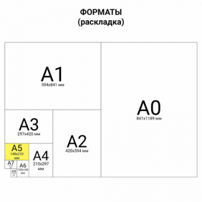 Тетрадь А5 48 л. АЛЬТ скоба, клетка, глянцевый лак, "Кошки. Яркий взгляд" (5 видов), 7-48-1019
