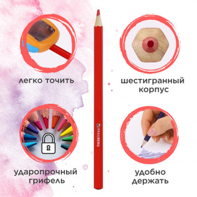 Карандаши цветные акварельные BRAUBERG "АКАДЕМИЯ", 12 цветов, шестигранные, грифель 3 мм, натуральное дерево, 181398