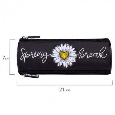 Пенал BRAUBERG, 3 отделения, нейлон, 21х7х7 см, "Spring", 270840