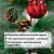Ель новогодняя искусственная "Velvet Pinewood" 180 см, с инеем и шишками, ПВХ, ЗОЛОТАЯ СКАЗКА, 591704 Ель новогодняя искусственная "Velvet Pinewood" 180 см, с инеем и шишками, ПВХ, ЗОЛОТАЯ СКАЗКА, 591704