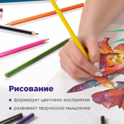 Карандаши цветные акварельные BRAUBERG "АКАДЕМИЯ", 24 цвета, шестигранные, грифель 3 мм, натуральное дерево, 181400