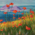 Гуашь BRAUBERG "МАГИЯ ЦВЕТА", 16 цветов по 20 мл, 191334 Гуашь BRAUBERG "МАГИЯ ЦВЕТА", 16 цветов по 20 мл, 191334