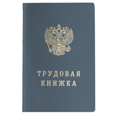 Бланк документа "Трудовая книжка", 88х125 мм, ГОЗНАК в магазине Вагончик
