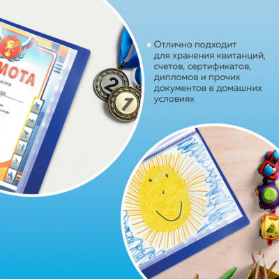 Папка 40 вкладышей BRAUBERG стандарт, синяя, 0,7 мм, 221603