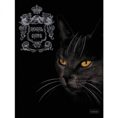 Тетрадь А5, 48 л., HATBER, скоба, клетка, матовая ламинация, 3D, "RoyalCats" (5 видов в спайке), 48Т5лофл