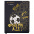 Дневник 1-4 класс 48 л., кожзам (гибкая), печать, фольга, ЮНЛАНДИЯ, "Football", 106159 Дневник 1-4 класс 48 л., кожзам (гибкая), печать, фольга, ЮНЛАНДИЯ, "Football", 106159