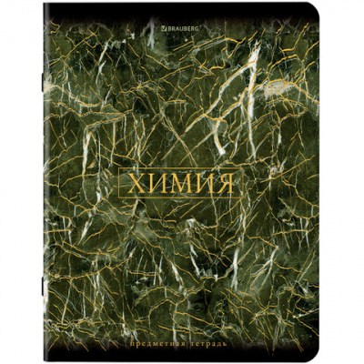 Тетради предметные, КОМПЛЕКТ 12 ПРЕДМЕТОВ, 48 л., SoftTouch, фольга, BRAUBERG, "MARBLE", 404326
