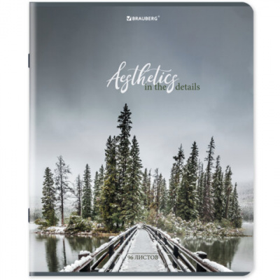 Тетрадь А5, 96 л., BRAUBERG, скоба, клетка, глянцевая ламинация, "Nature", 404427
