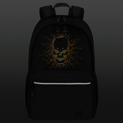 Рюкзак BRAUBERG FASHION CITY универсальный, 2 отделения, "Skull", черный, 46х31х15 см, 272572