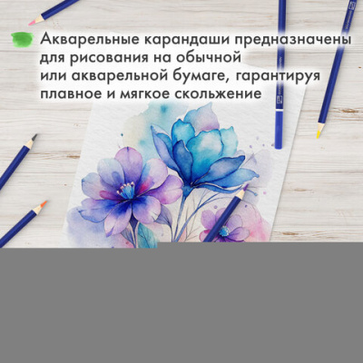 Карандаши художественные цветные акварельные BRAUBERG ART CLASSIC, 24 цвета, грифель 3,3 мм, 181530