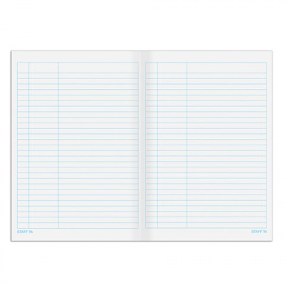 Книга учета 48 л., пустографка, обложка из мелованного картона, блок офсет, А4 200х290 мм, STAFF, 130212