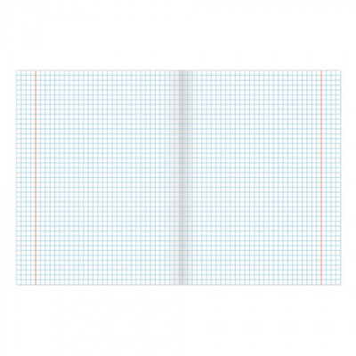 Тетрадь А5 48 л. BRAUBERG скоба, клетка, обложка картон, "LINE" (микс в спайке), 404364