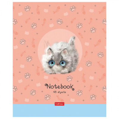 Тетрадь А5 48 л. HATBER скоба, клетка, обложка картон, "Кошарики" (микс в спайке), 075302, 48Т5В1