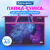 Папка для рисунков и чертежей с ручками BRAUBERG А3, пластик, молния сверху, "Melody", 228201 Папка для рисунков и чертежей с ручками BRAUBERG А3, пластик, молния сверху, "Melody", 228201
