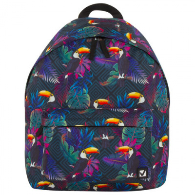 Рюкзак BRAUBERG СИТИ-ФОРМАТ универсальный, "Toucans", разноцветный, 41х32х14 см, 228847