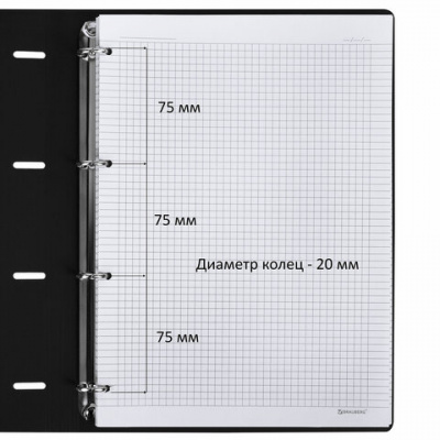 Тетрадь на кольцах БОЛЬШАЯ А4 (240х310 мм), 120 л., под кожу, BRAUBERG VISTA, "Пастельная", 404514