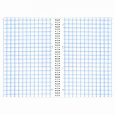Тетрадь А4, 96 л., BRAUBERG, гребень, клетка, обложка картон, КРАСИВЫЕ ЦВЕТЫ, 403072