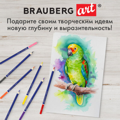 Карандаши художественные цветные акварельные BRAUBERG ART CLASSIC, 36 цветов, грифель 3,3 мм, 181531