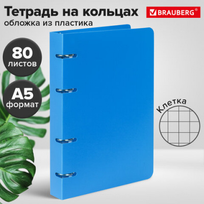 Тетрадь на кольцах А5 160х215 мм, 80 л., пластик, клетка, BRAUBERG, "Голубой", 403251