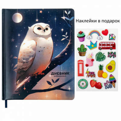 Дневник 1-11 класс 48 л., кожзам (твердая с поролоном), печать, наклейки, BRAUBERG, "Сова", 106947