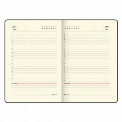 Ручка шариковая PARKER "Jotter Plastic CT", корпус черный, ежедневник А5 черный, белый срез, пакет, 880895