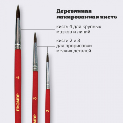 Кисти ПИФАГОР, набор 3 шт. (ПОНИ: круглые № 2, 3, 4), пакет с европодвесом, 200227