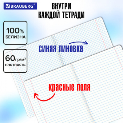 Тетради предметные, КОМПЛЕКТ 12 ПРЕДМЕТОВ, 48 л., глянцевый УФ-лак, BRAUBERG, "ANIME", 404608