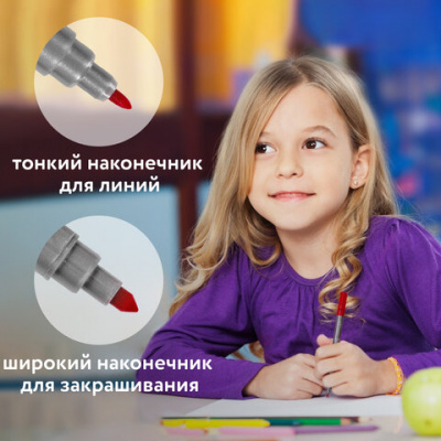 Фломастеры двусторонние BRAUBERG "PREMIUM" "DUAL-TIP", 10 шт., 10 цветов, два наконечника, картонная коробка с европодвесом, 151946