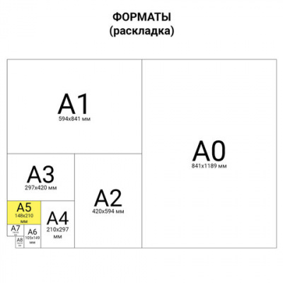 Тетрадь на кольцах А5 160х215 мм, 80 л., пластик, клетка, BRAUBERG, "Красный", 403252