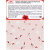 Конфеты RAFFAELLO с цельным миндальным орехом в кокосовой стружке, 90 г, 9020000000310 Конфеты RAFFAELLO с цельным миндальным орехом в кокосовой стружке, 90 г, 9020000000310