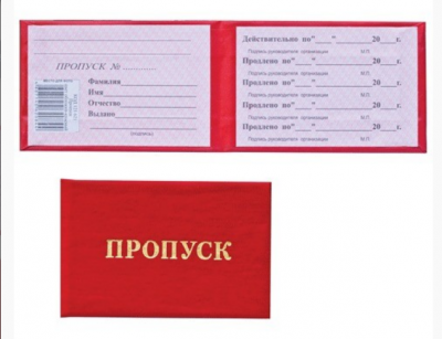 Бланк документа "Пропуск", 65х98 мм, STAFF, 129143 в магазине Вагончик