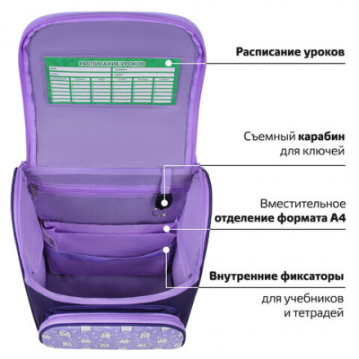 Ранец ПИФАГОР BASIC, 1 отделение, 3 кармана, эргономичная спинка, "Веселые мишки", 35х28х18 см, 272047