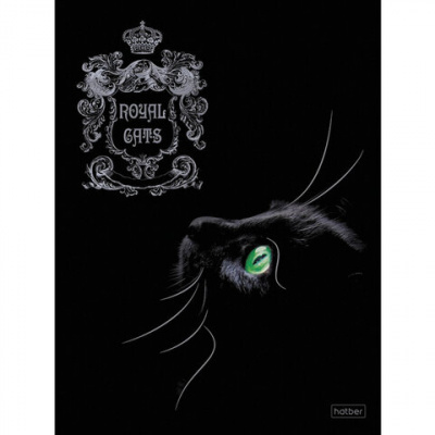 Тетрадь А5, 48 л., HATBER, скоба, клетка, матовая ламинация, 3D, "RoyalCats" (5 видов в спайке), 48Т5лофл