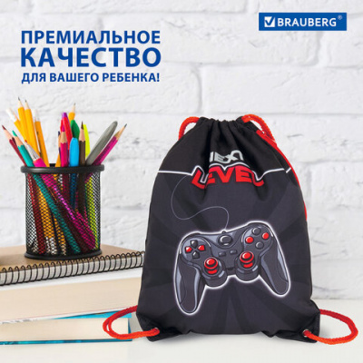 Мешок для обуви BRAUBERG PREMIUM, карман, подкладка, светоотражающие элементы, 43х33 см, "Новый уровень", 270748