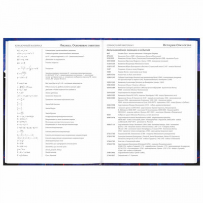Дневник 5-11 класс 48 л., твердый, BRAUBERG, глянцевая ламинация, с подсказом, "DELIGHT", 106864