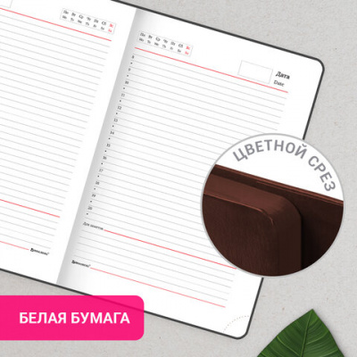Ежедневник с магнитным клапаном недатированный, под кожу, А5, коричневый, BRAUBERG "Magnetic X", 113280