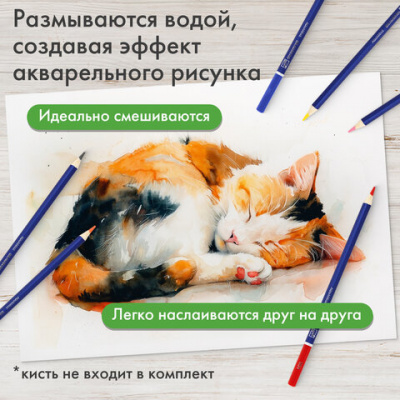 Карандаши художественные цветные акварельные BRAUBERG ART CLASSIC, 24 цвета, грифель 3,3 мм, 181530