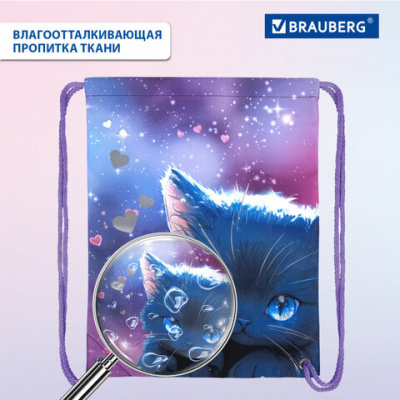 Мешок для обуви BRAUBERG PREMIUM, карман, подкладка, светоотражайка, 43х33 см, Anime cat, 272421