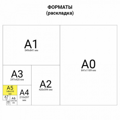 Тетрадь 12 л. BRAUBERG КЛАССИКА NEW клетка, обложка картон, ЗЕЛЕНАЯ, 105684