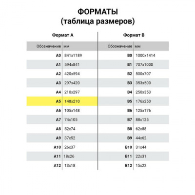 Тетрадь на кольцах А5 (180х220 мм), 80 листов, под кожу, клетка, BRAUBERG VISTA, Pomegranate, 112126
