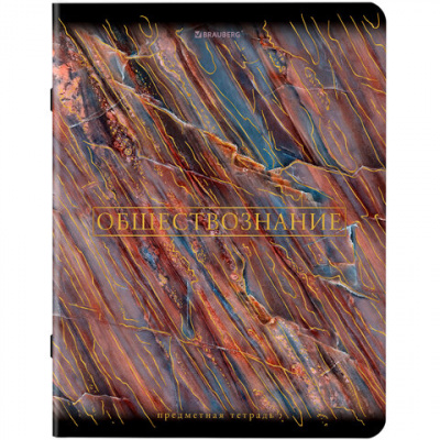 Тетради предметные, КОМПЛЕКТ 12 ПРЕДМЕТОВ, 48 л., SoftTouch, фольга, BRAUBERG, "MARBLE", 404326