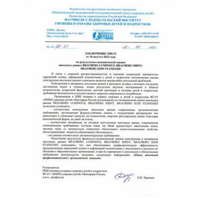 Ранец BRAUBERG KIDS STANDARD, 2 отделения, "Любознательный кот", 36х28х14 см, 273145
