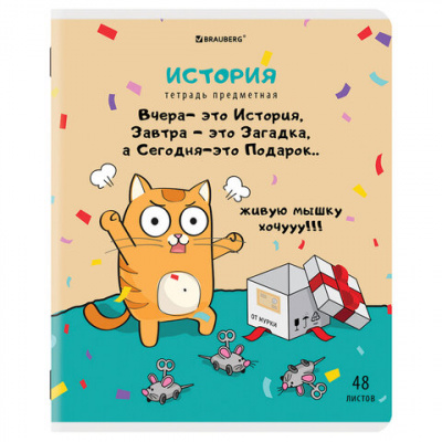 Тетради предметные, КОМПЛЕКТ 12 ПРЕДМЕТОВ, 48 л., TWIN-лак, BRAUBERG, "КОТ-ЭНТУЗИАСТ", 404609