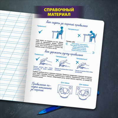 Тетрадь ПРОПИСЬ № 4 12 л. косая линия, со справочным материалом, обложка картон, ЮНЛАНДИЯ, 404851