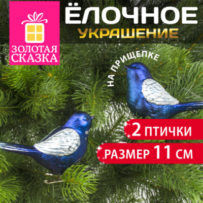 Украшение ёлочное "Птички" 2 шт., 11 см, пластик, цвет: синий/серебристый, ЗОЛОТАЯ СКАЗКА, 590894