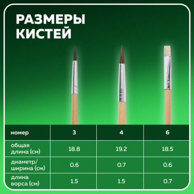 Кисти BRAUBERG, набор 3 шт. (белка, круглая № 3; пони, круглая № 4; щетина, плоская № 6), блистер, 200224