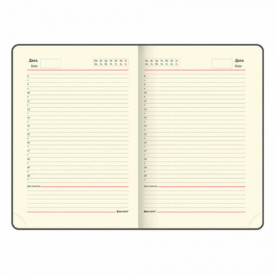 Ручка шариковая PARKER "Jotter Plastic CT", корпус черный, ежедневник А5 черный, золотой срез, пакет, 880894