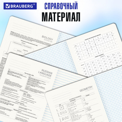 Тетради предметные, КОМПЛЕКТ 12 ПРЕДМЕТОВ, 48 л., SoftTouch, фольга, BRAUBERG, "ELEGANCE", 404611